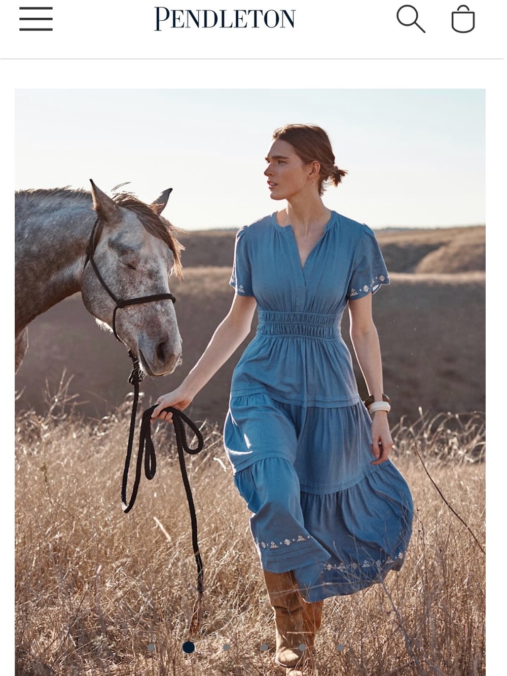 Pendleton Penelope Blue Tiered V-Neck Smocked-Waist midi dress NWT Size Small